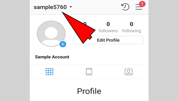 Switch Between Multiple Instagram Accounts