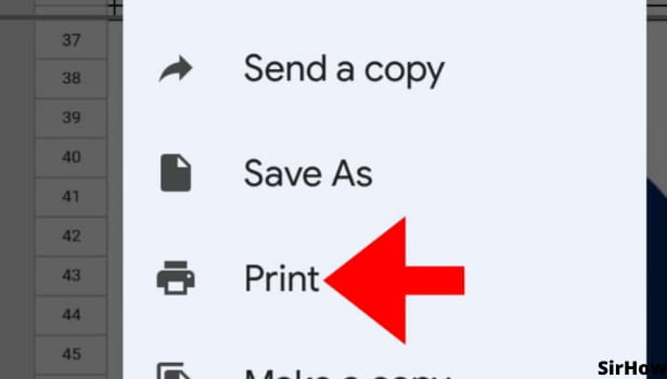 image titled Print Google Sheets step 4