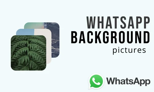 How to Change WhatsApp Background Wallpaper