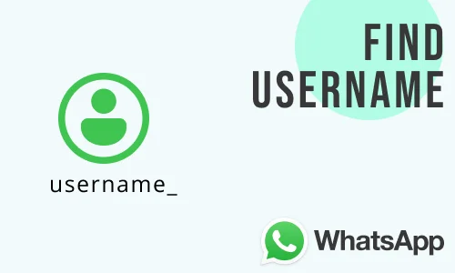 How Can I Find WhatsApp Username