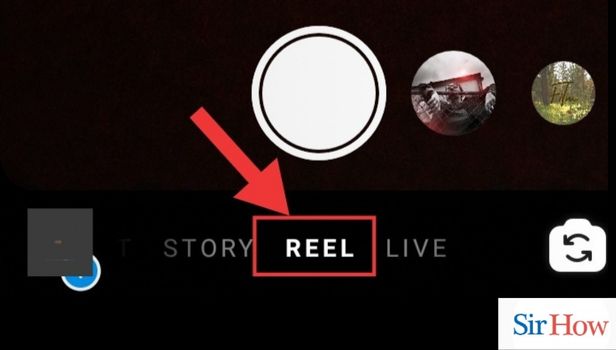 Click on the Reel option
