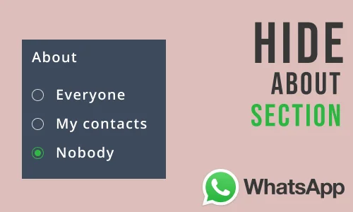 How to Hide 'About' in WhatsApp