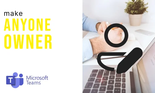 How to make anybody owner of the team on Microsoft Teams