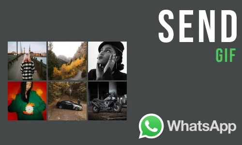 How to Send GIF on WhatsApp