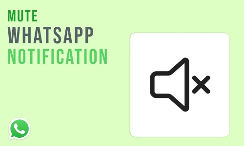How to Mute WhatsApp Group Notification