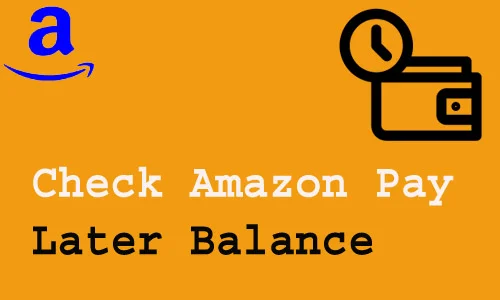How to Check Amazon Pay Later Balance