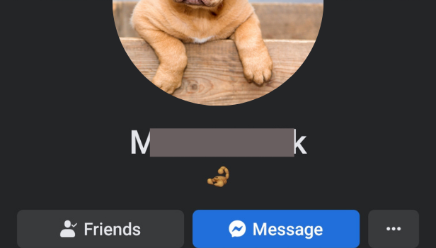 If the profile is visible on Facebook then the single tick on messenger confirms that you are blocked on messenger but not on Facebook