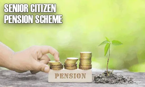 How to Apply for Online Senior Citizen Pension Scheme in Delhi