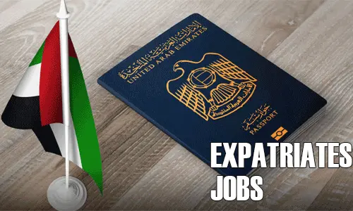 How to Search Expatriates Jobs in Saudi Arabia