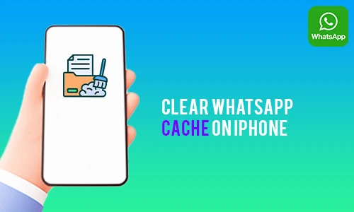 How to Clear Whatsapp Cache on iPhone