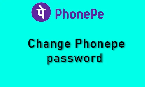 How to change Phonepe password
