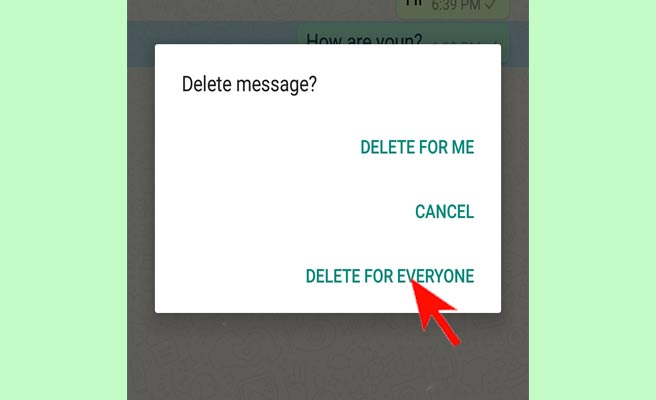  Recall WhatsApp Messages